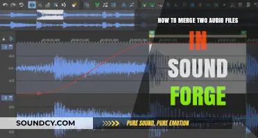 Efficiently Merge Audio Files in Sound Forge: A Step-by-Step Guide
