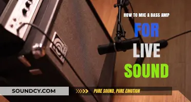 Capturing the Low End: A Guide to Micing Bass Amps for Live Performances