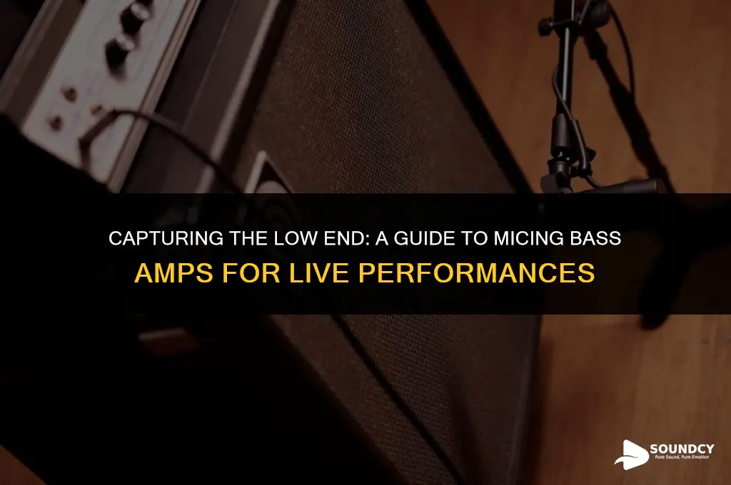 how to mic a bass amp for live sound