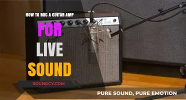 Capturing the Perfect Tone: A Guide to Micing Your Guitar Amp for Live Performances