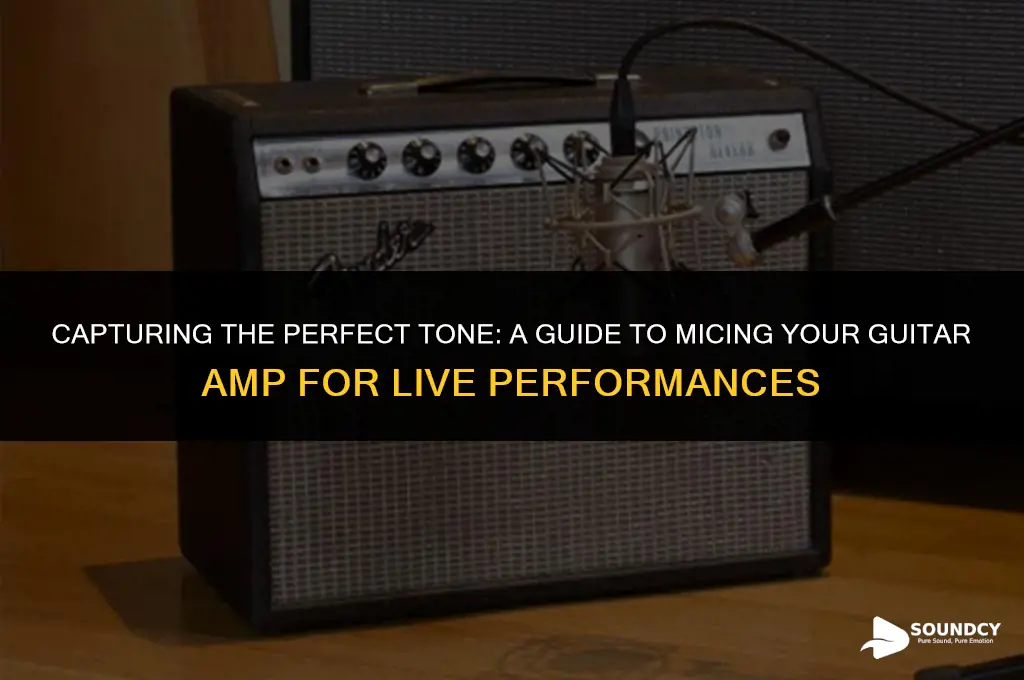how to mic a guitar amp for live sound