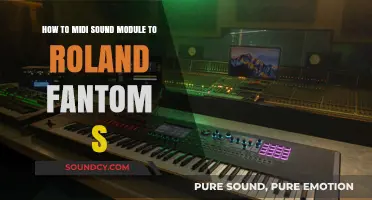 Connecting MIDI Sound Modules to Roland Fantom S: A Comprehensive Guide