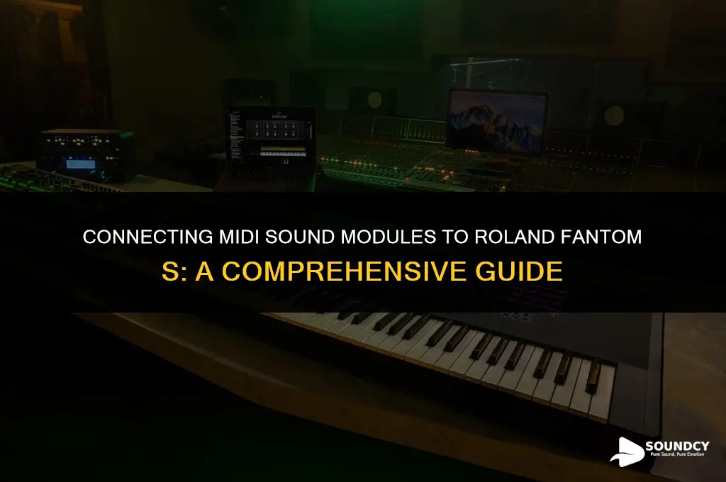 how to midi sound module to roland fantom s