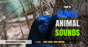 Mastering Wildlife Calls: Techniques to Mimic Animal Sounds Perfectly