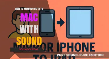 Seamlessly Mirror iOS 12 to Mac with Sound: A Step-by-Step Guide
