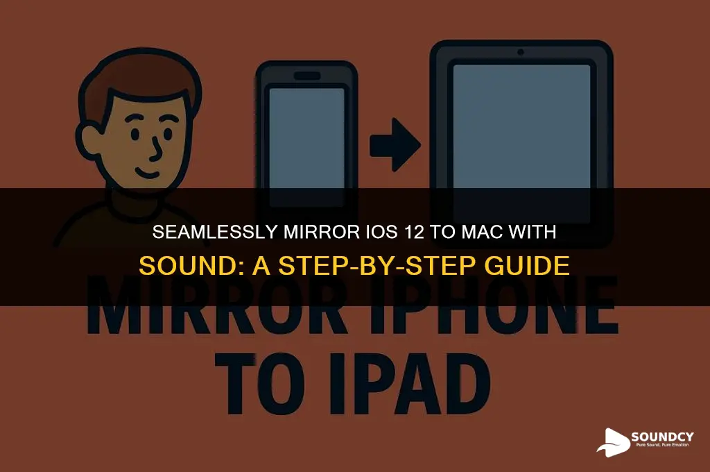 how to mirrow ios 12 to mac with sound