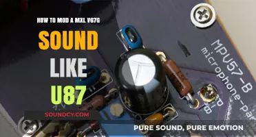 Unlocking Vintage Tone: Modding the MXL V67G to Emulate the U87