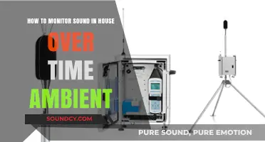 Track Your Home's Acoustic Evolution: A Guide to Ambient Sound Monitoring