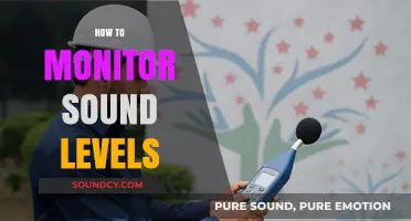 Effective Sound Level Monitoring: Techniques and Tools for Optimal Control