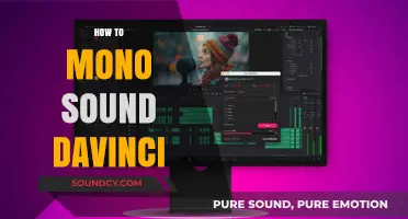 Master Mono Sound in DaVinci Resolve: A Step-by-Step Guide