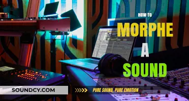 Mastering Sound Morphing: Techniques to Transform Audio Like a Pro