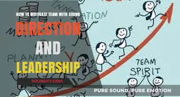 Empowering Teams: The Art of Sound Direction and Leadership