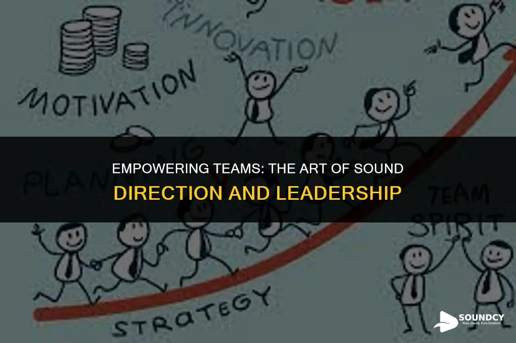 how to motivate team with sound direction and leadership