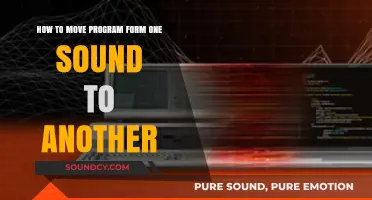 Seamless Program Transition: Shifting Sounds for Smooth Workflow