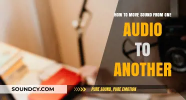 Seamlessly Transferring Sound: A Guide to Audio Migration