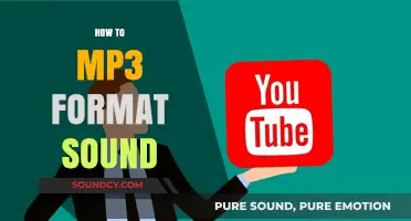 Mastering MP3 Conversion: A Step-by-Step Guide to Formatting Sound
