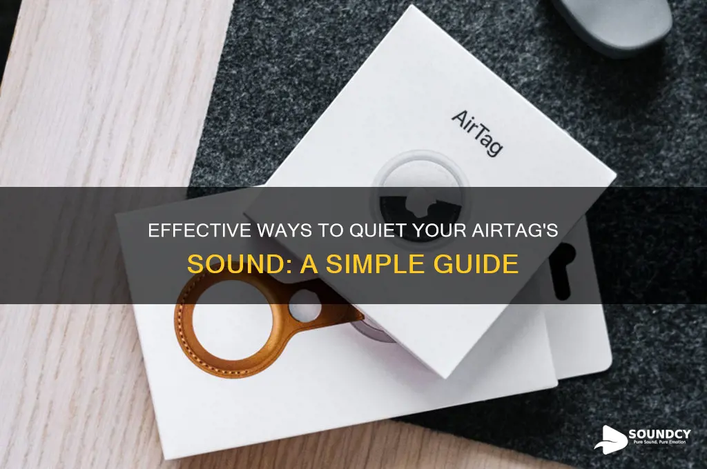 how to muffle airtag sound