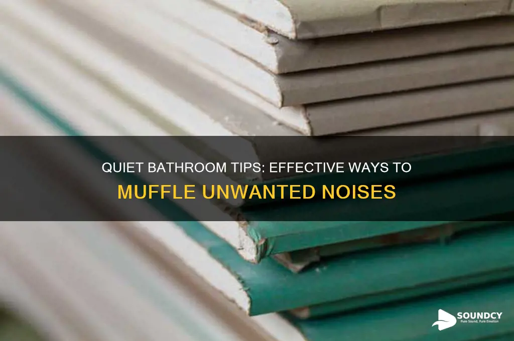 how to muffle bathroom sounds