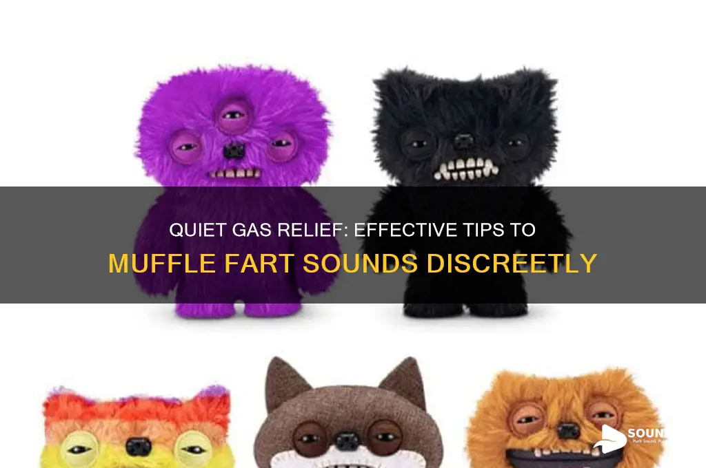 how to muffle fart sounds