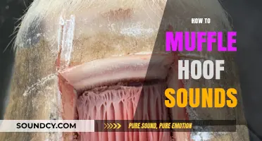 Effective Techniques to Quiet Hoof Sounds for Stealthy Horse Riding