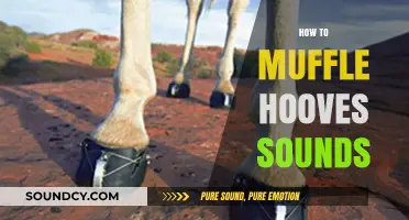 Quiet Steps: Effective Techniques to Muffle Hooves Sounds on Trails