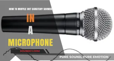 Silencing Scratches: A Guide to Quieting Microphone Noise