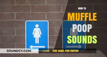 Quiet Bathroom Tips: How to Muffle Poop Sounds Discreetly