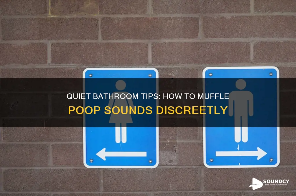how to muffle poop sounds
