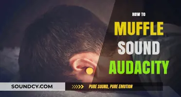 Effective Techniques to Muffle Sound in Audacity for Clear Audio Editing