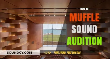 Effective Techniques to Muffle Sound for Enhanced Audition Comfort