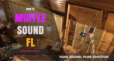 Effective Ways to Muffle Sound in Florida Homes and Spaces