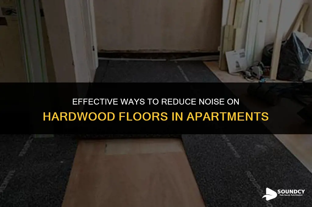 how to muffle sound in apartment for hardwood floors
