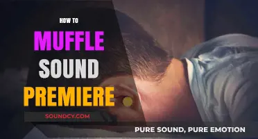 Effective Techniques to Muffle Sound in Adobe Premiere Pro