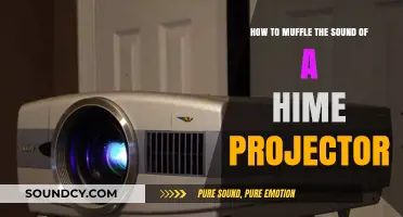 Quiet Your Home Theater: Muffling the Sound of a Hime Projector