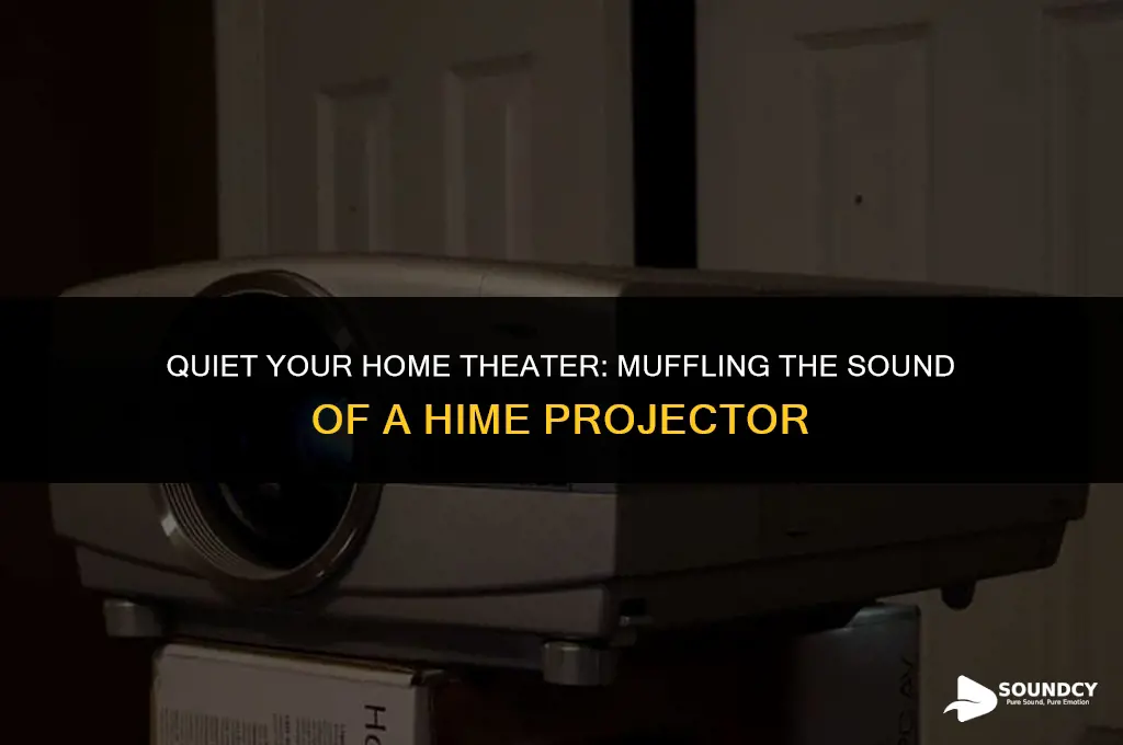 how to muffle the sound of a hime projector
