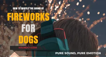 Quiet the Boom: Tips to Protect Your Dog's Ears from Fireworks