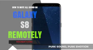 Silencing Your Galaxy S8 Remotely: A Step-by-Step Guide