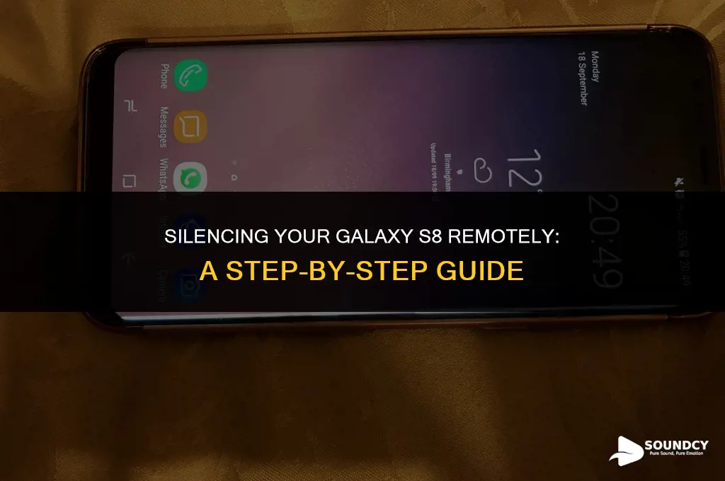 how to mute all sound on galaxy s8 remotely