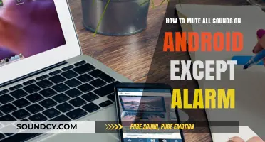 Silent Mode Simplified: Muting All Sounds on Android Except Alarms