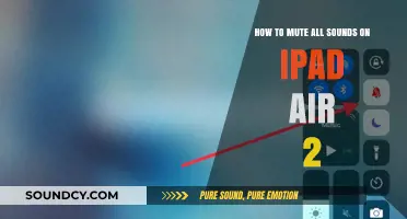 Silencing Your iPad Air 2: A Step-by-Step Guide to Muting All Sounds