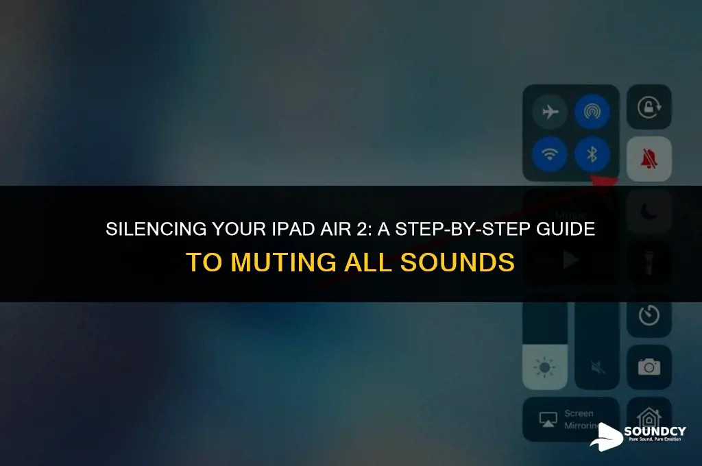 how to mute all sounds on ipad air 2