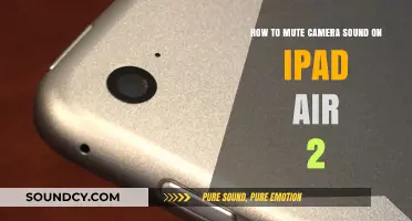 Silencing Your iPad Air 2 Camera: A Quick Guide
