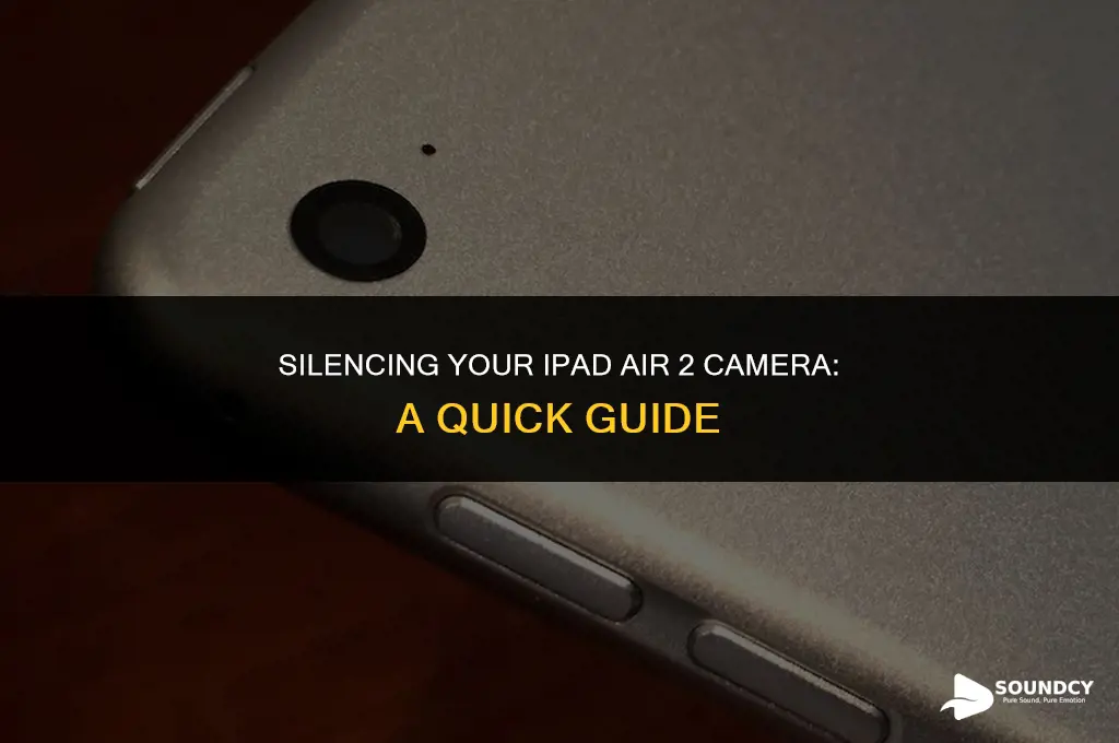 how to mute camera sound on ipad air 2