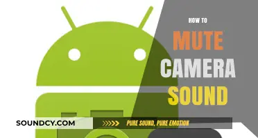 Quick Guide: Silencing Your Camera Sound in Simple Steps