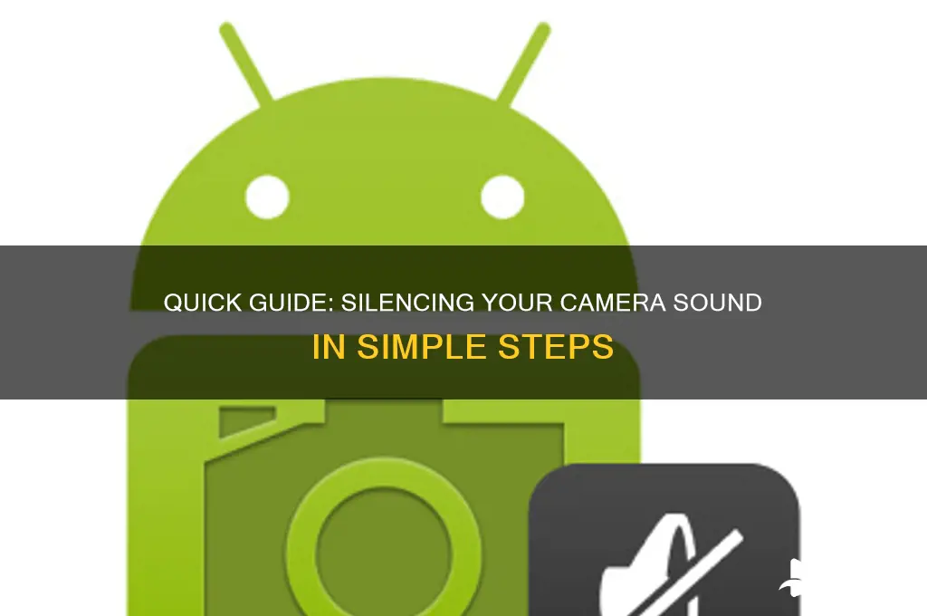 how to mute camera sound