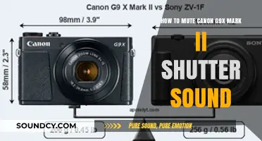 Silencing the Shutter: A Guide to Muting Canon G9X Mark II Camera Noise