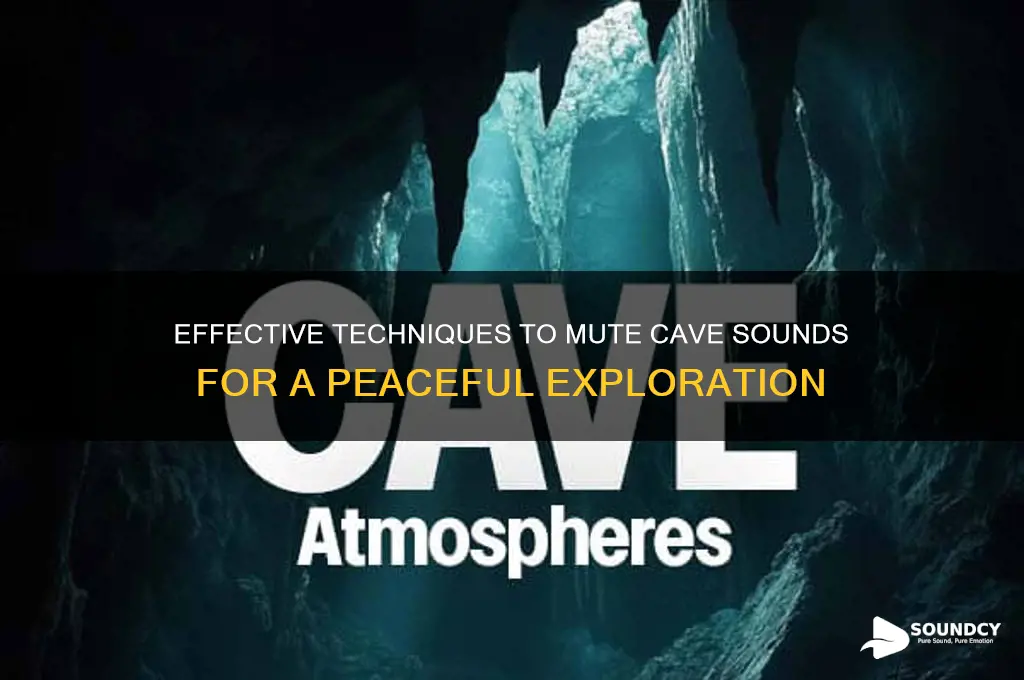 how to mute cave sounds