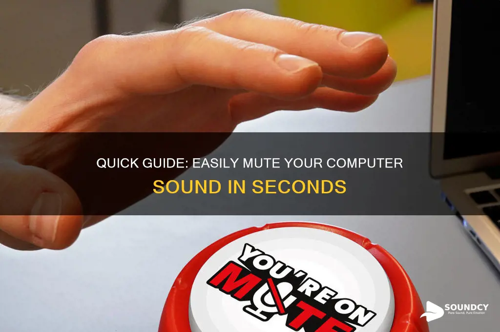 how to mute computer sound