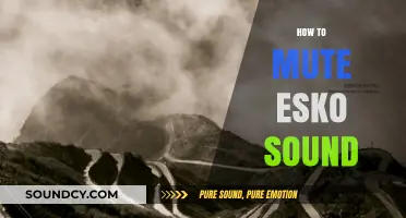 Effective Ways to Mute Esko Sound: A Step-by-Step Guide