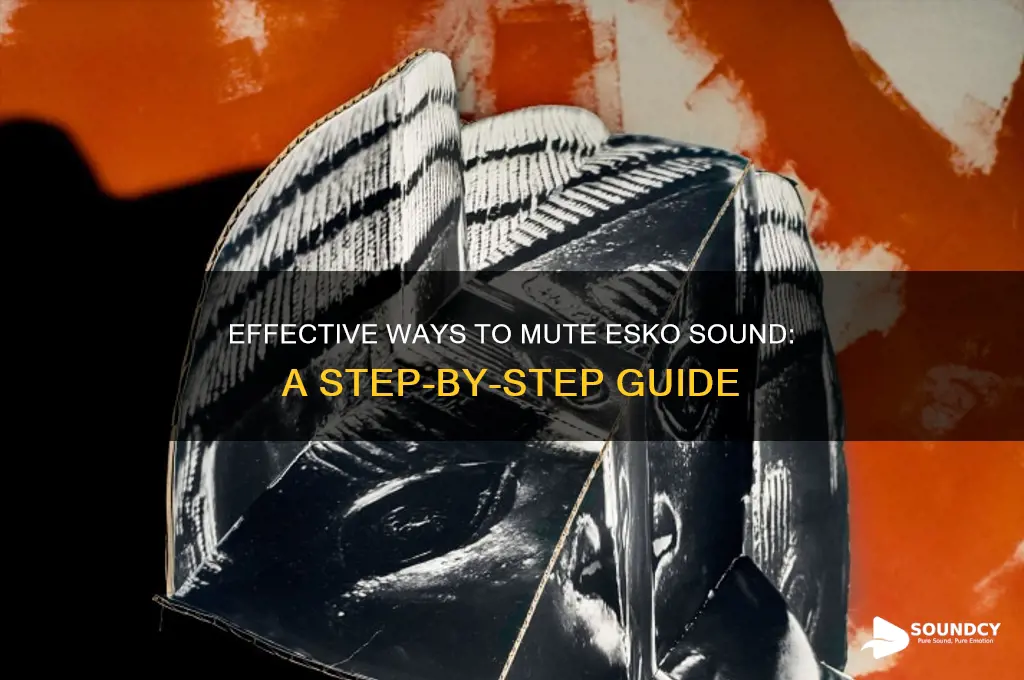how to mute esko sound
